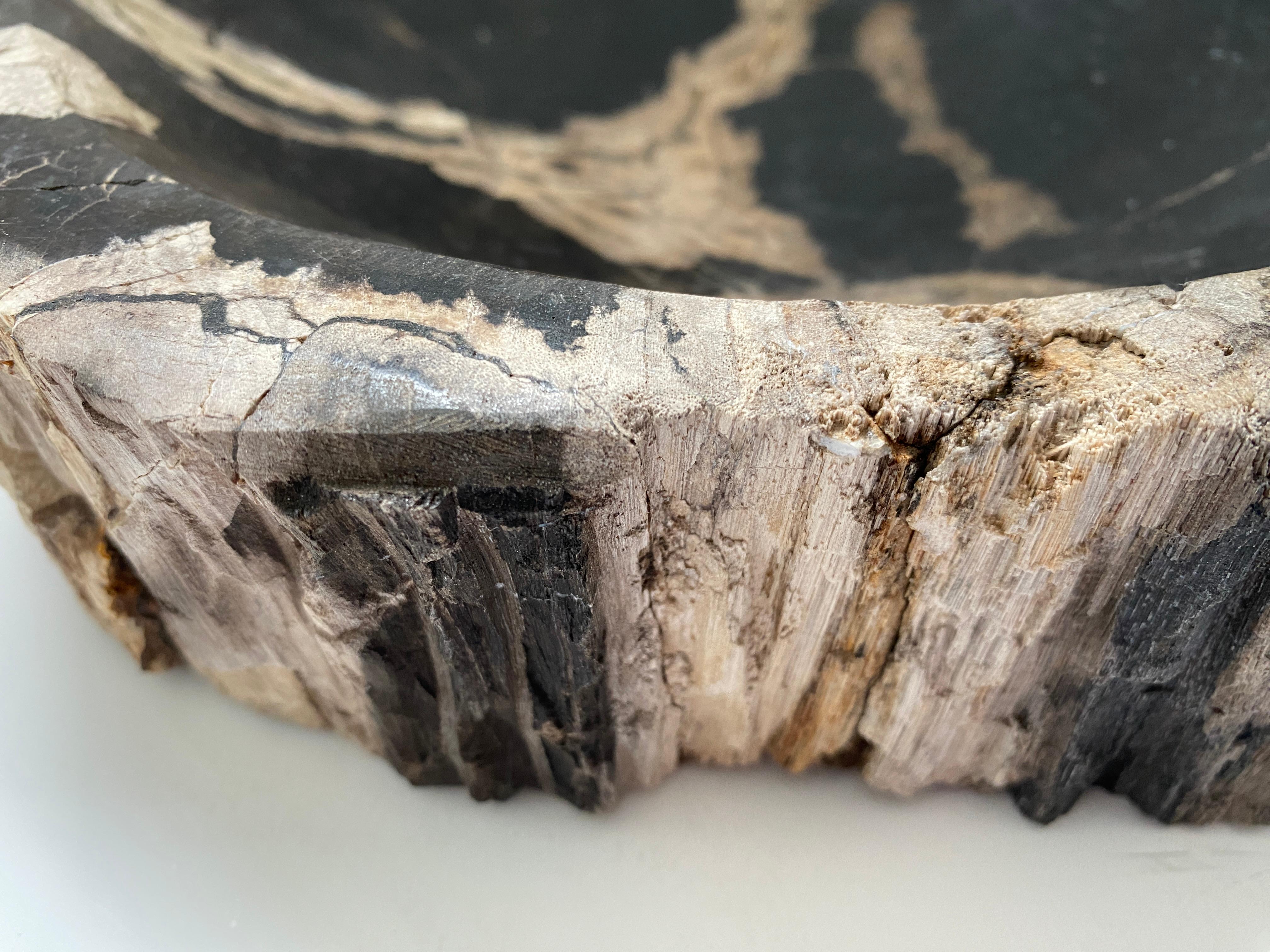 Indonesian Petrified Wood Bowl  For Sale 4