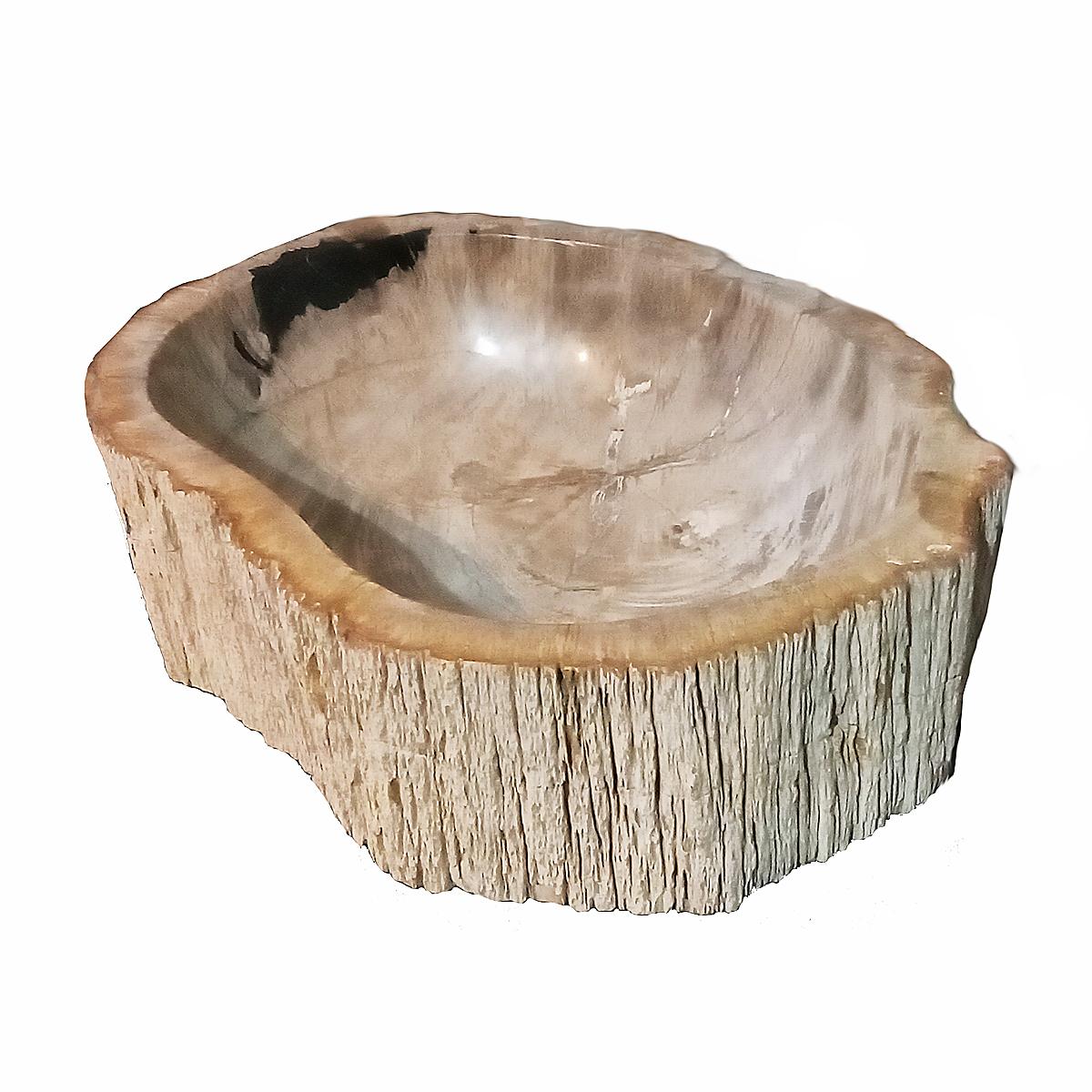 
This stunning bowl is crafted out of a single solid piece of petrified wood, in naturally occurring colors like cream, taupe and black.  Cut and polished to reveal the spectacular veining and colors of the rock-solid wood. At 7 in the Mohs scale,
