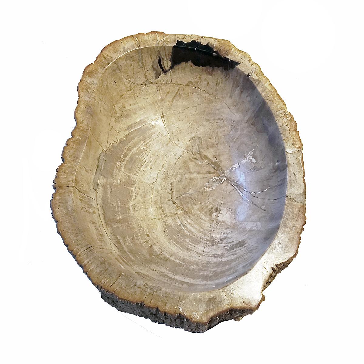 Organic Modern Indonesian Petrified Wood Bowl For Sale