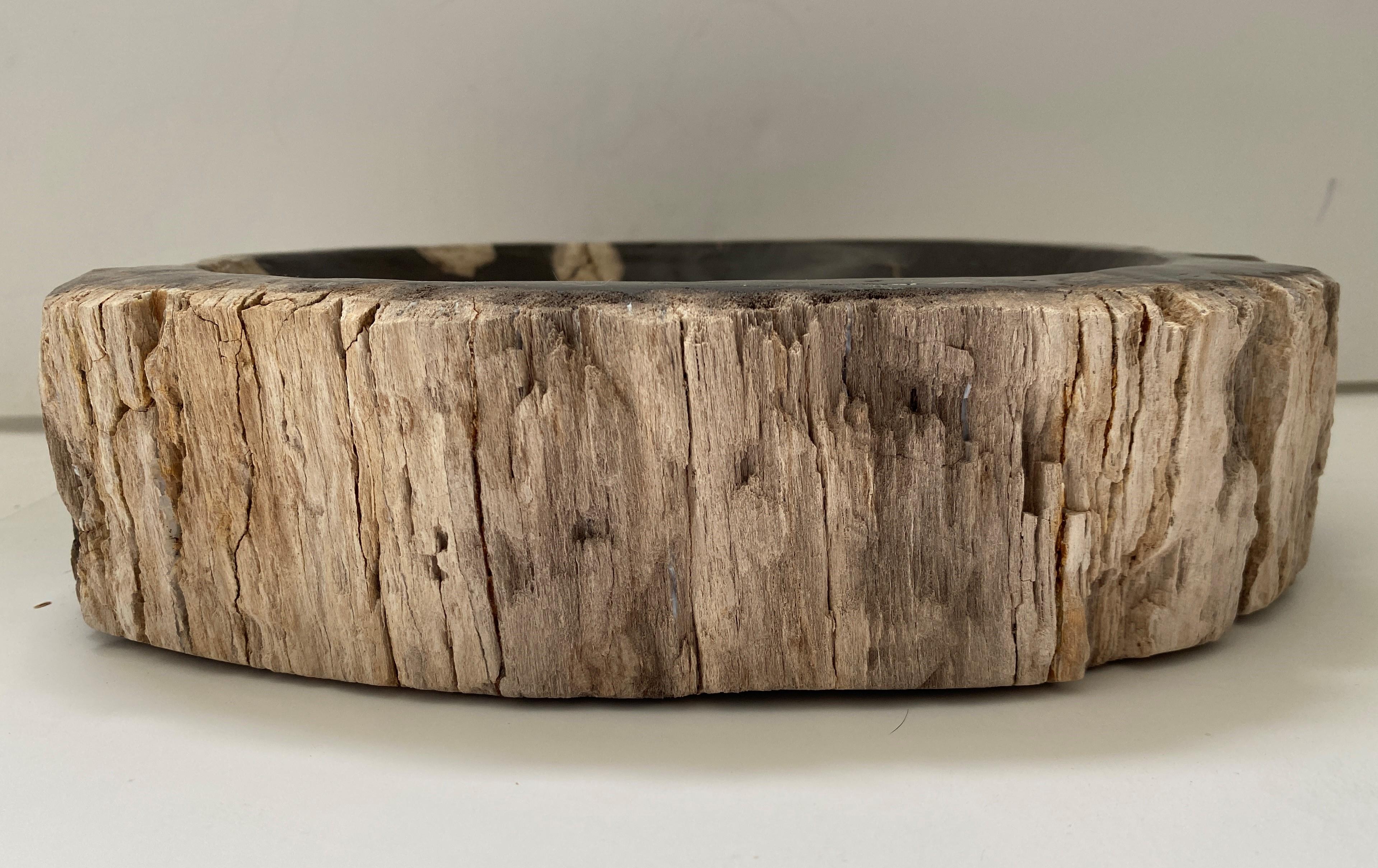 Organic Modern Indonesian Petrified Wood Bowl  For Sale