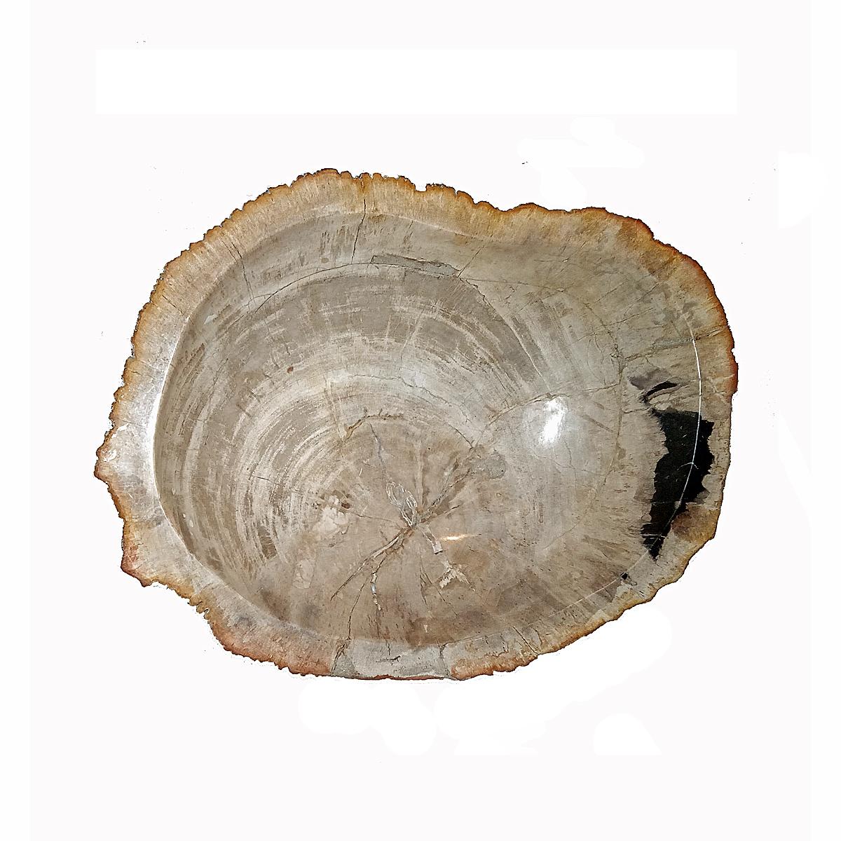 Hand-Carved Indonesian Petrified Wood Bowl For Sale