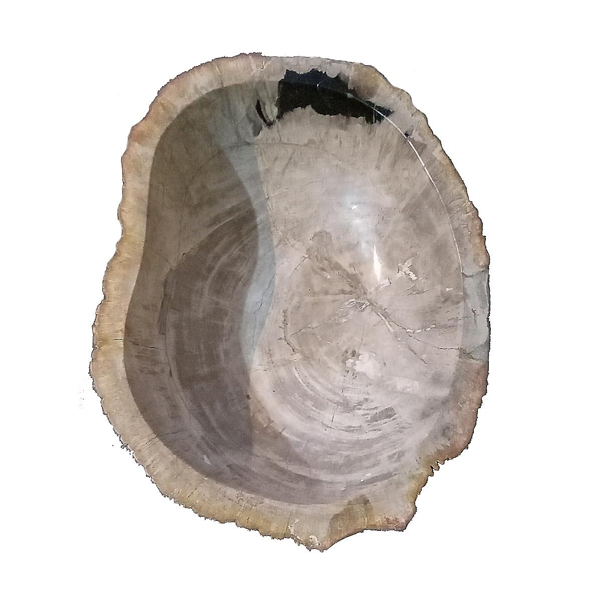 Indonesian Petrified Wood Bowl In Good Condition For Sale In New York, NY