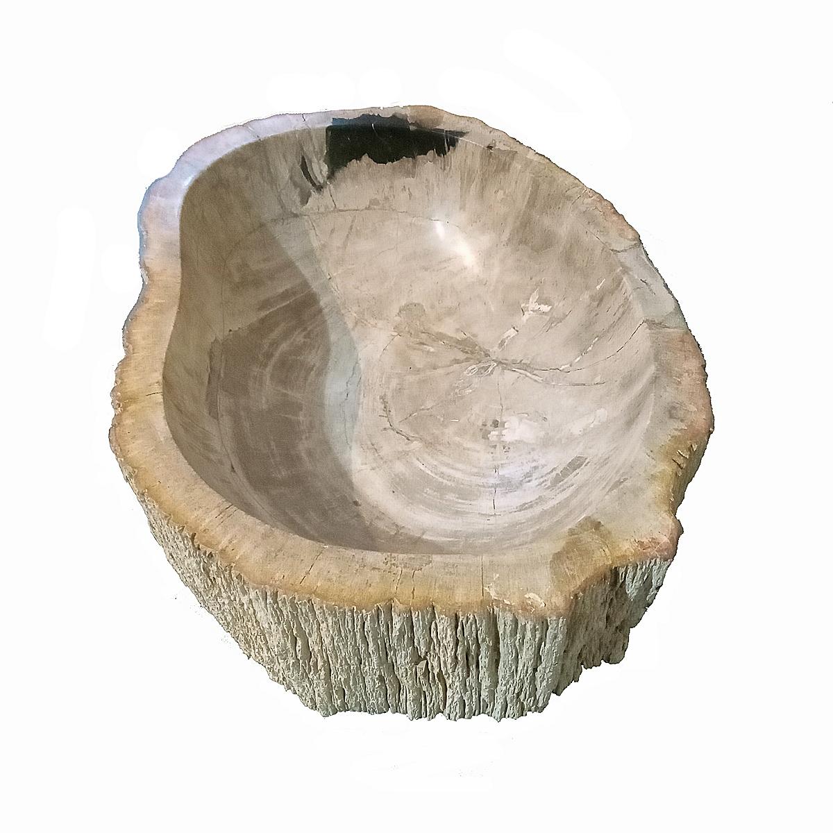 Contemporary Indonesian Petrified Wood Bowl For Sale