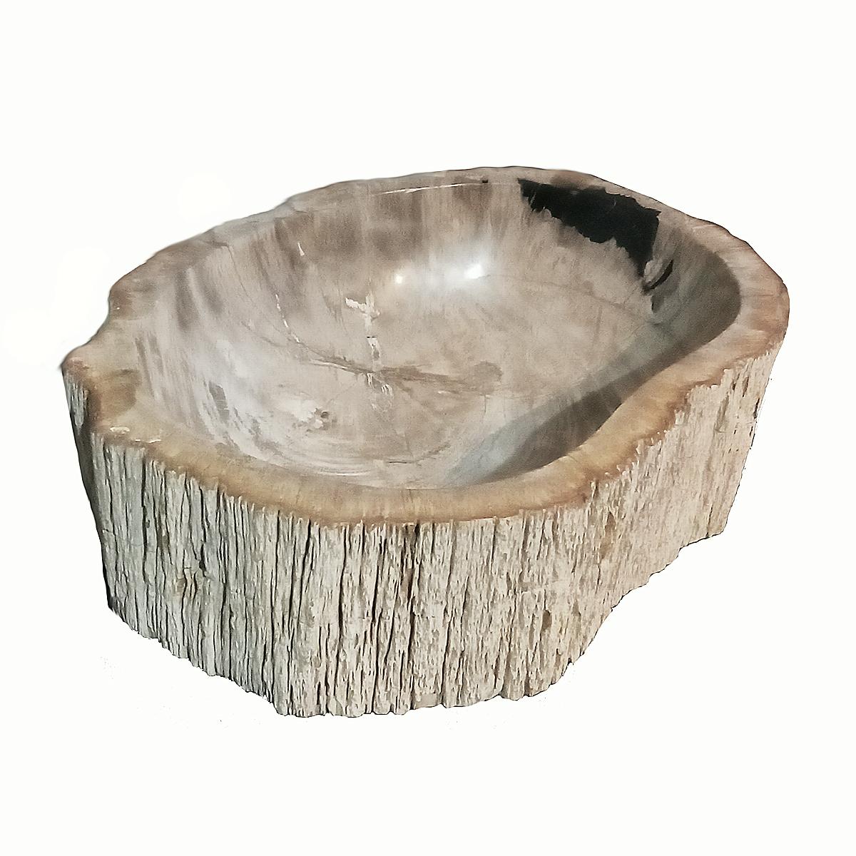 Indonesian Petrified Wood Bowl For Sale 1
