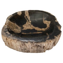 Indonesian Petrified Wood Bowl