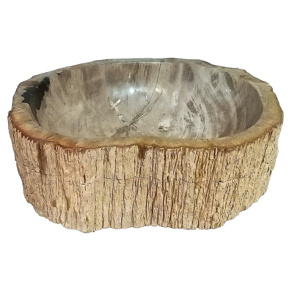 Cuenco de madera petrificada indonesia