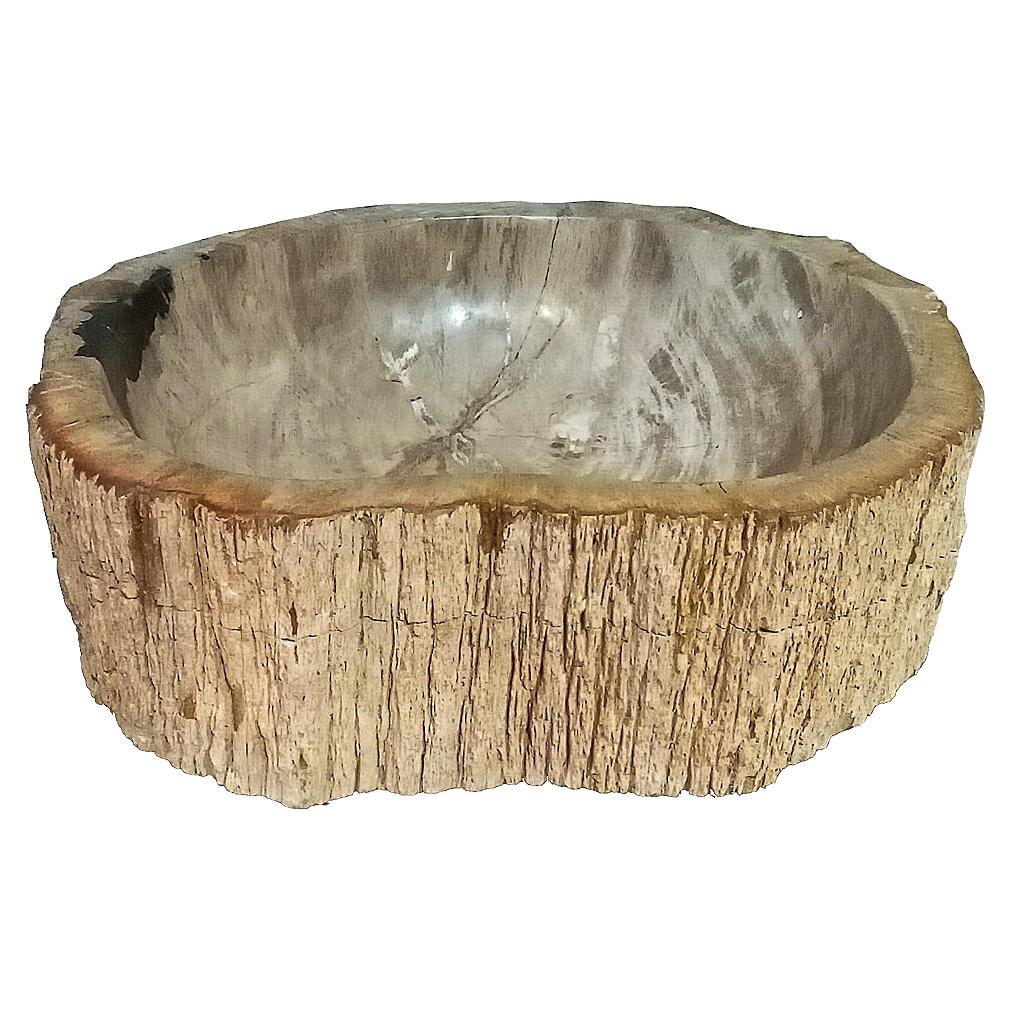 Indonesian Petrified Wood Bowl For Sale