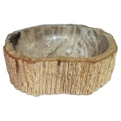 Indonesian Petrified Wood Bowl