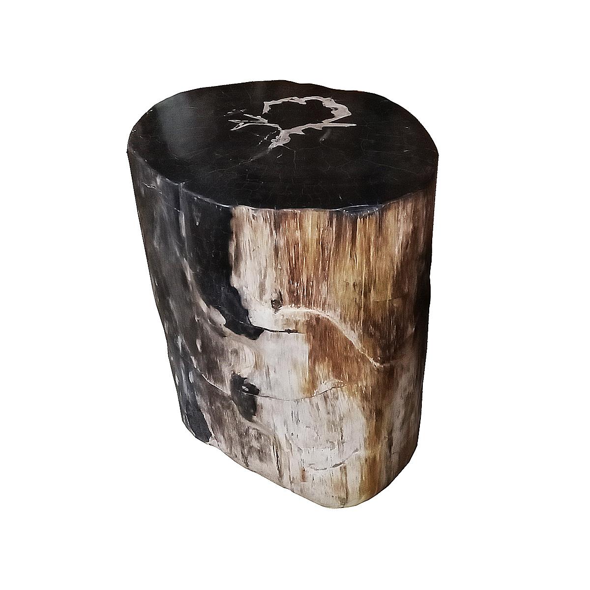 A stunning end or side table, carved out of 20-million old Indonesian petrified wood. Cut and polished to reveal the spectacular veining and colors of the rock-solid wood. At 7 in the Mohs scale, petrified wood is a very hard and durable material,