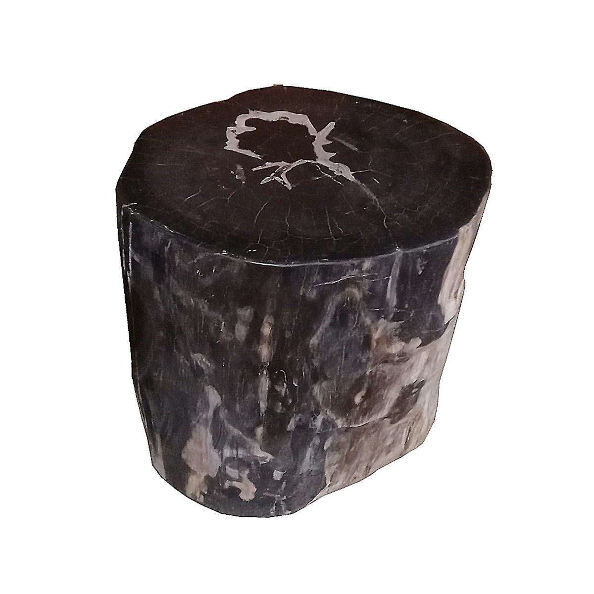 Carved Indonesian Petrified Wood Side Table