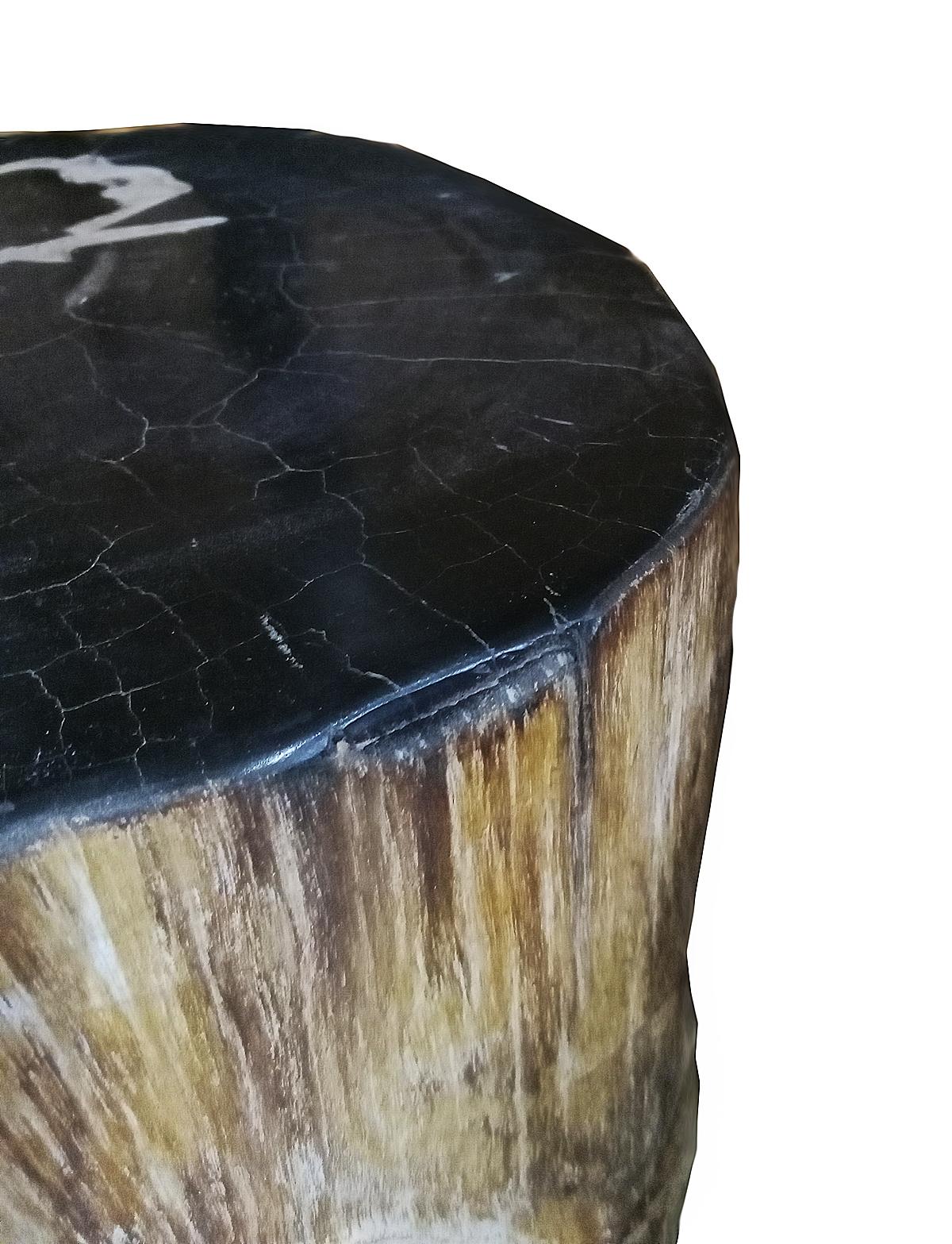Contemporary Indonesian Petrified Wood Side Table