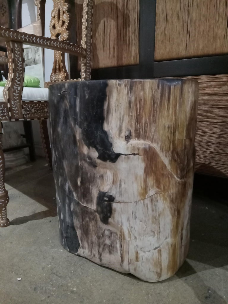 Indonesian Petrified Wood Side Table For Sale at 1stDibs