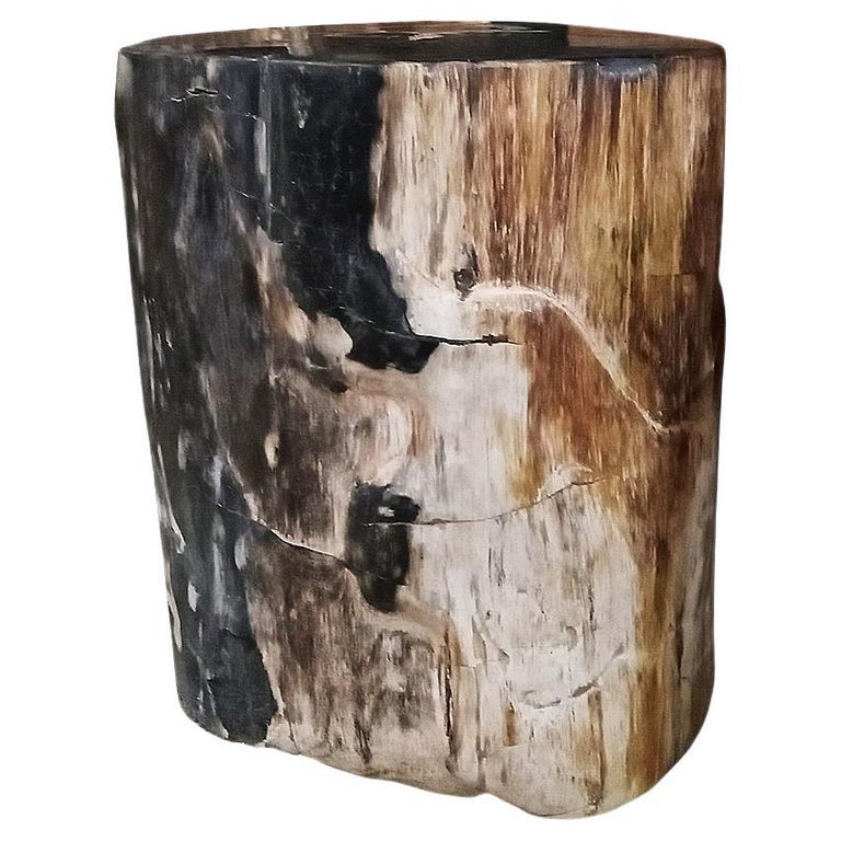 Indonesian Petrified Wood Side Table For Sale at 1stDibs