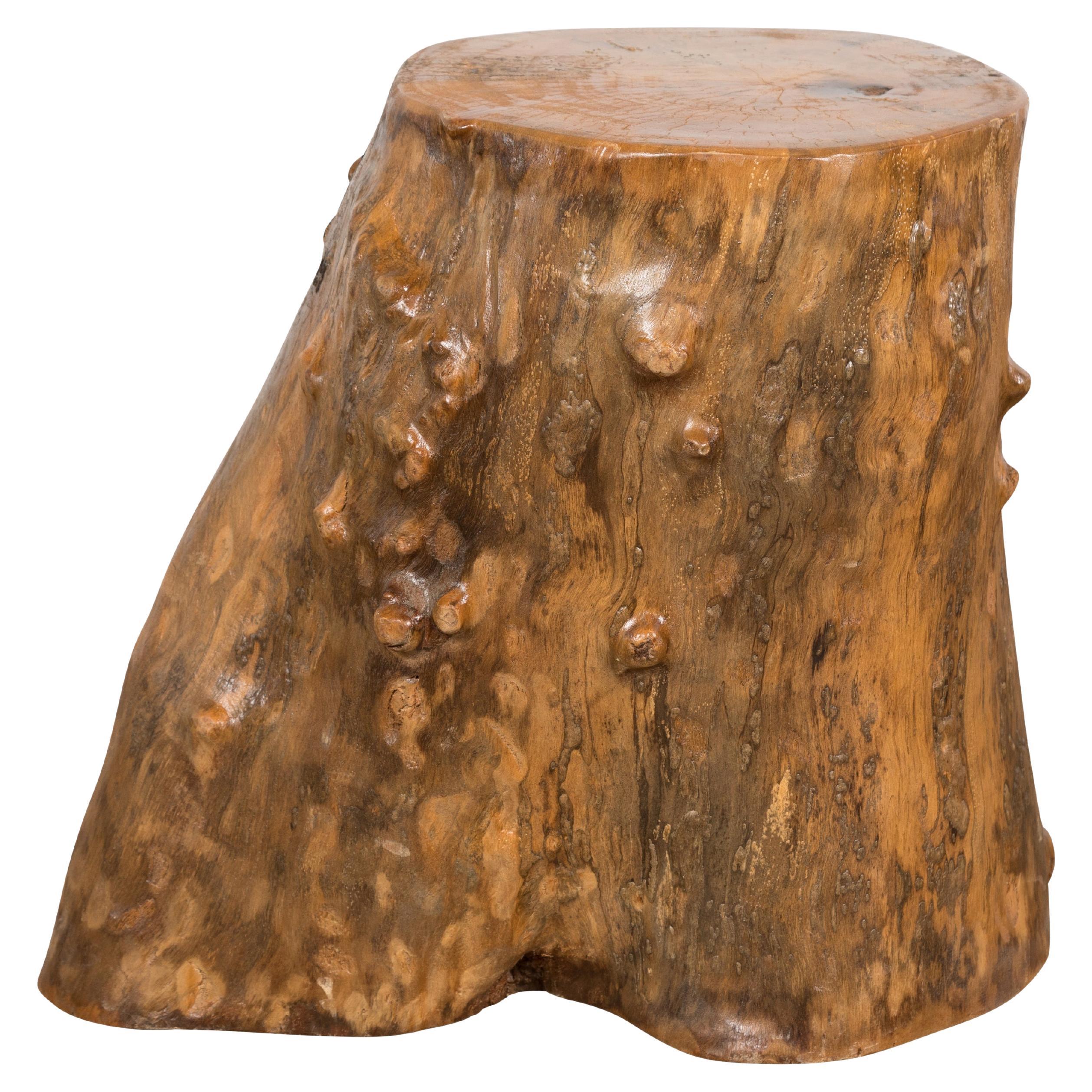 Indonesian Rustic Root Drinks Table or Stool with Light Brown Finish For Sale