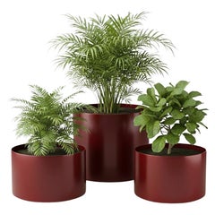 Planters and Jardinieres