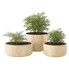 Planters and Jardinieres