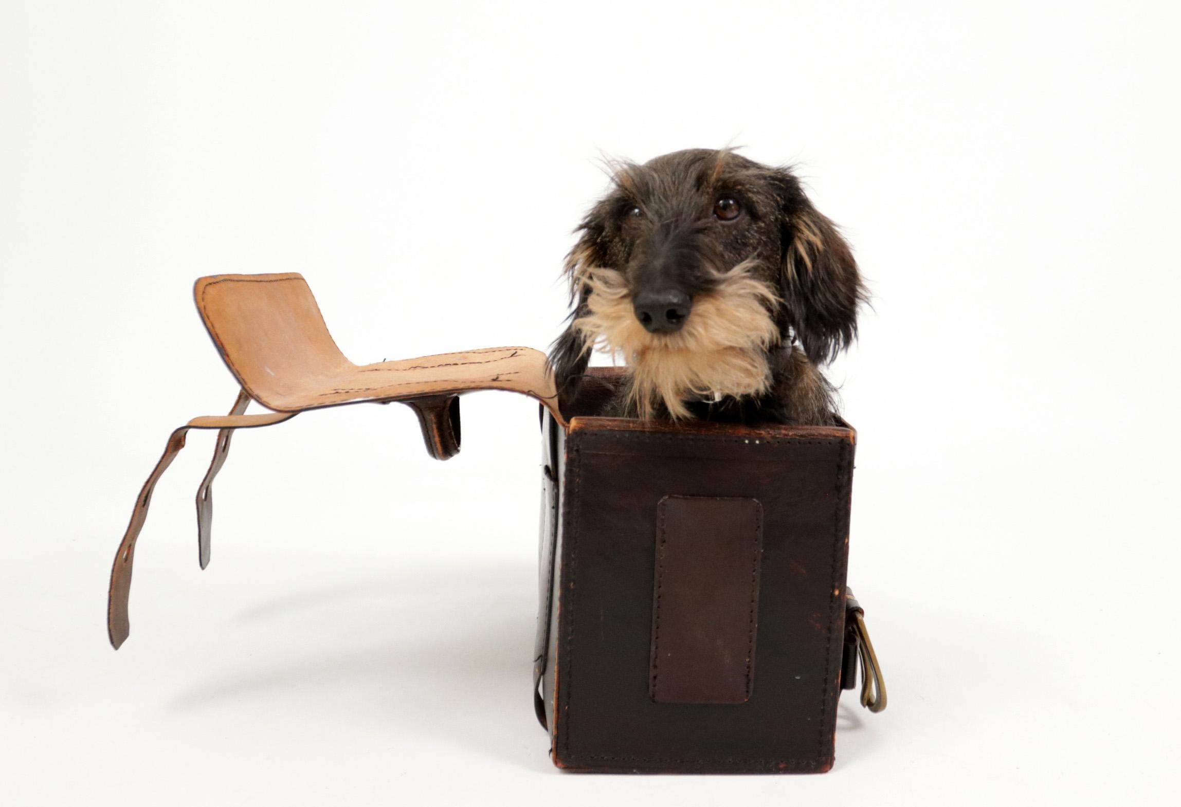 Mid-20th Century Industrial Design Dutch Harness Leather Tool Case from the 1930s For Sale