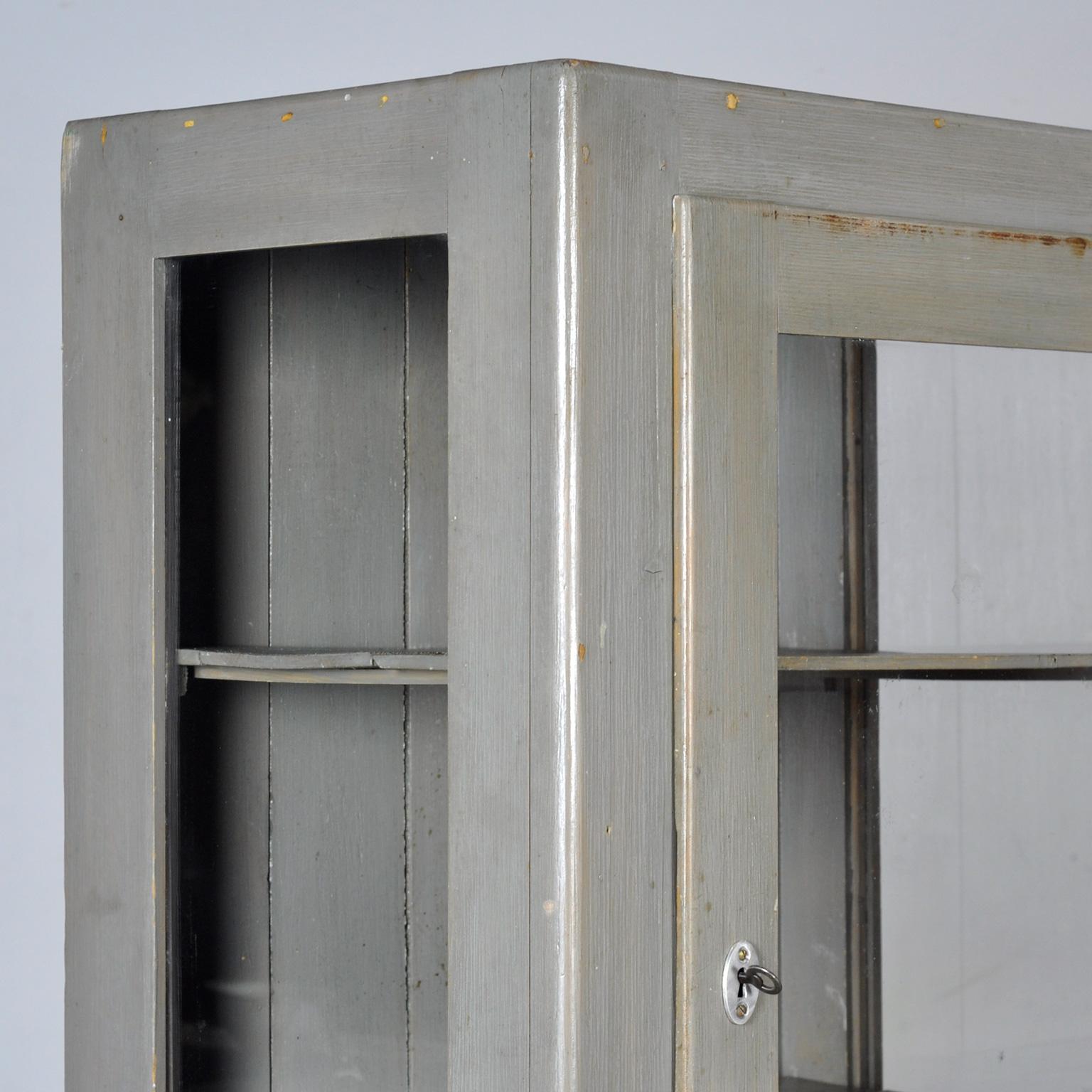 Industrial Display Cabinet, 1950s im Angebot 1