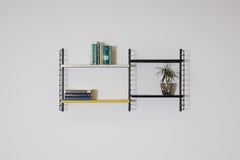 Tomado Style Industrial Multi-Colored Double Section Wall Mount Shelving Unit