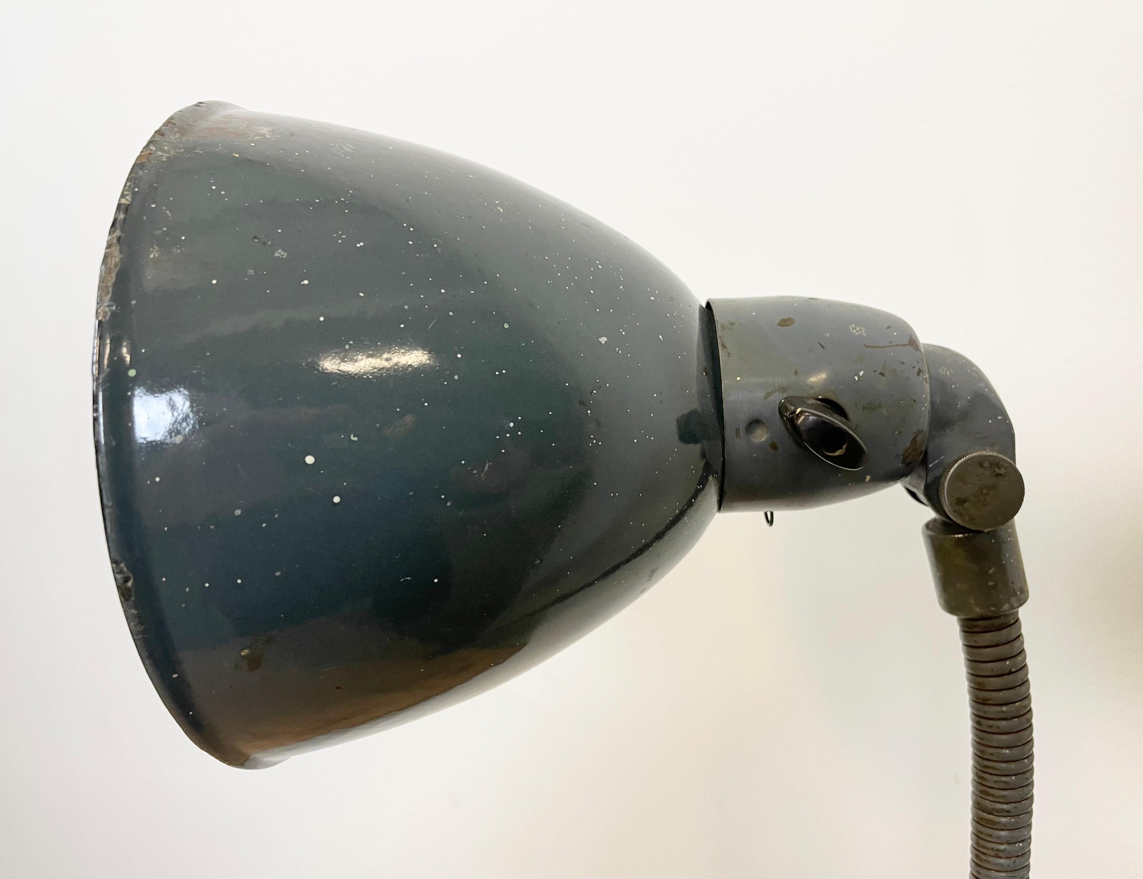 Industrial Grey Enamel Gooseneck Desk Lamp from Siemens, 1950s For Sale 13