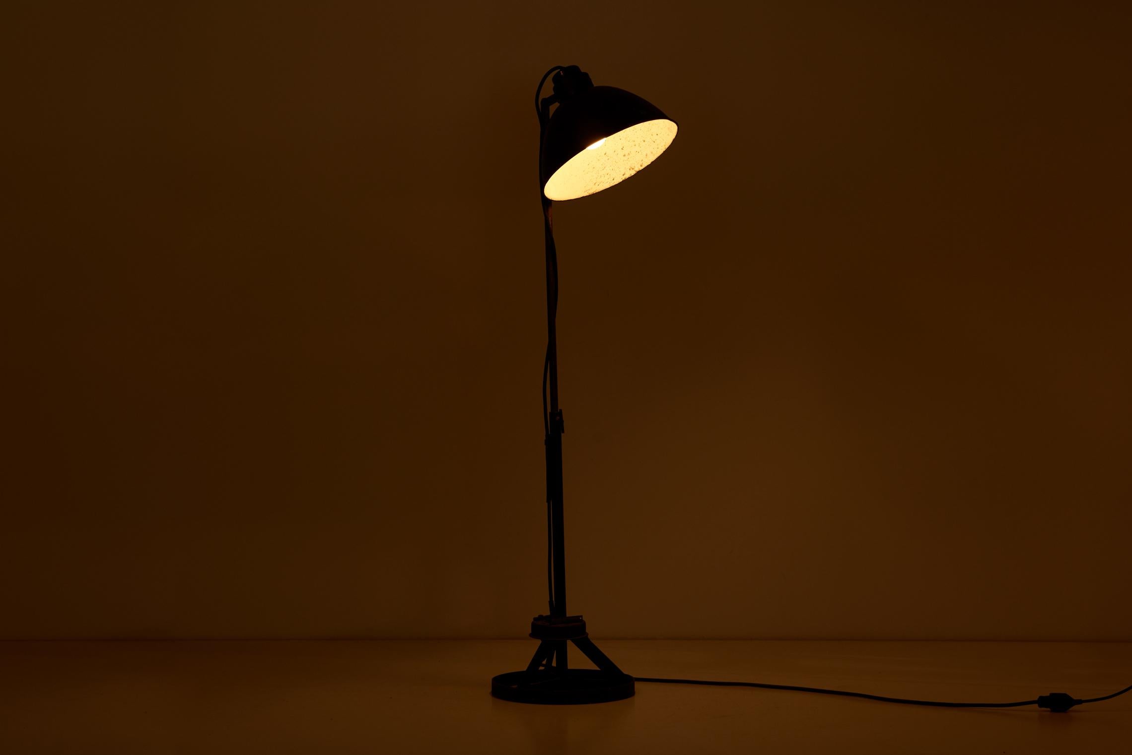 adjustable height floor lamp