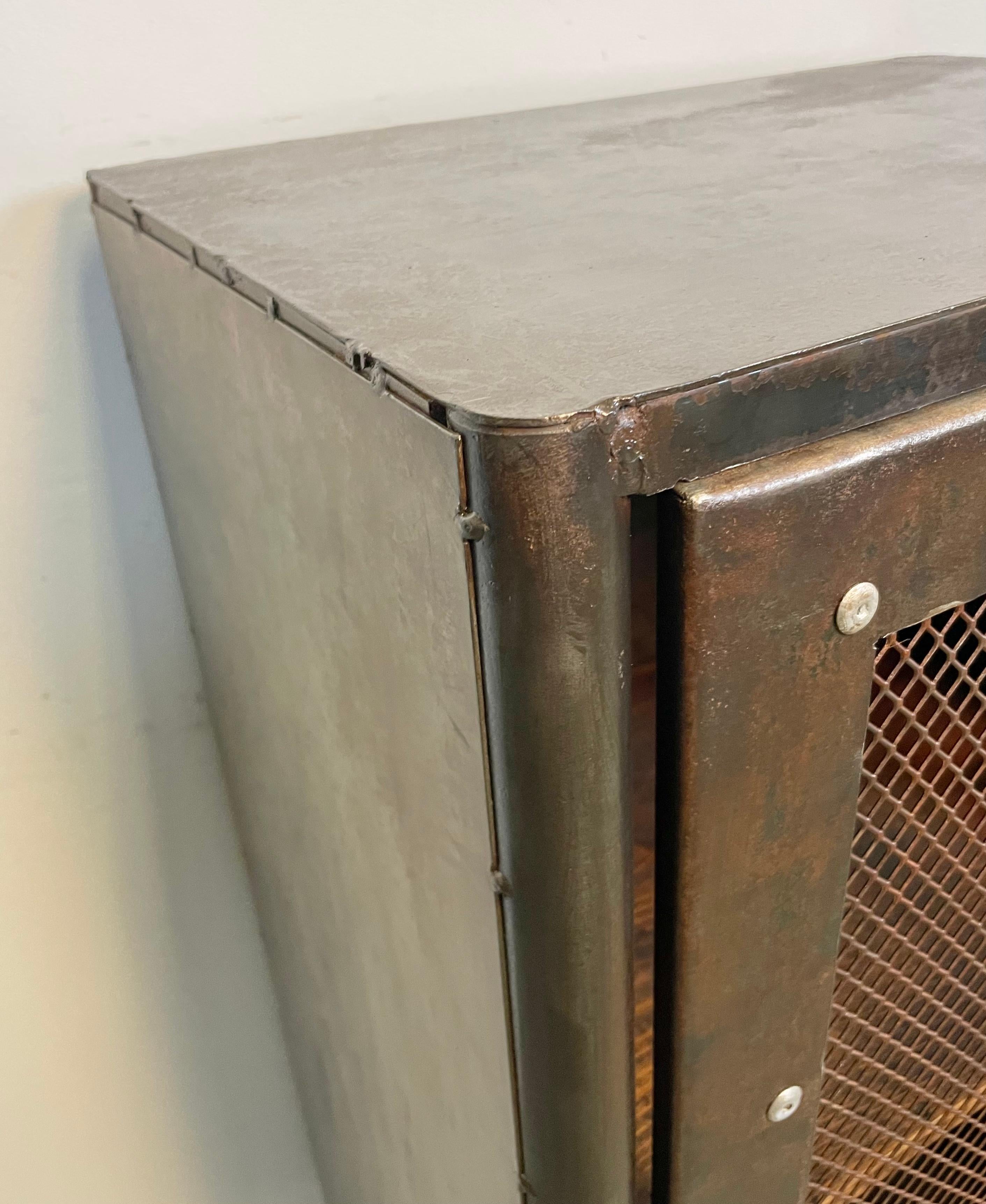 Industrial Iron Cabinet with Mesh Door, 1960s 4