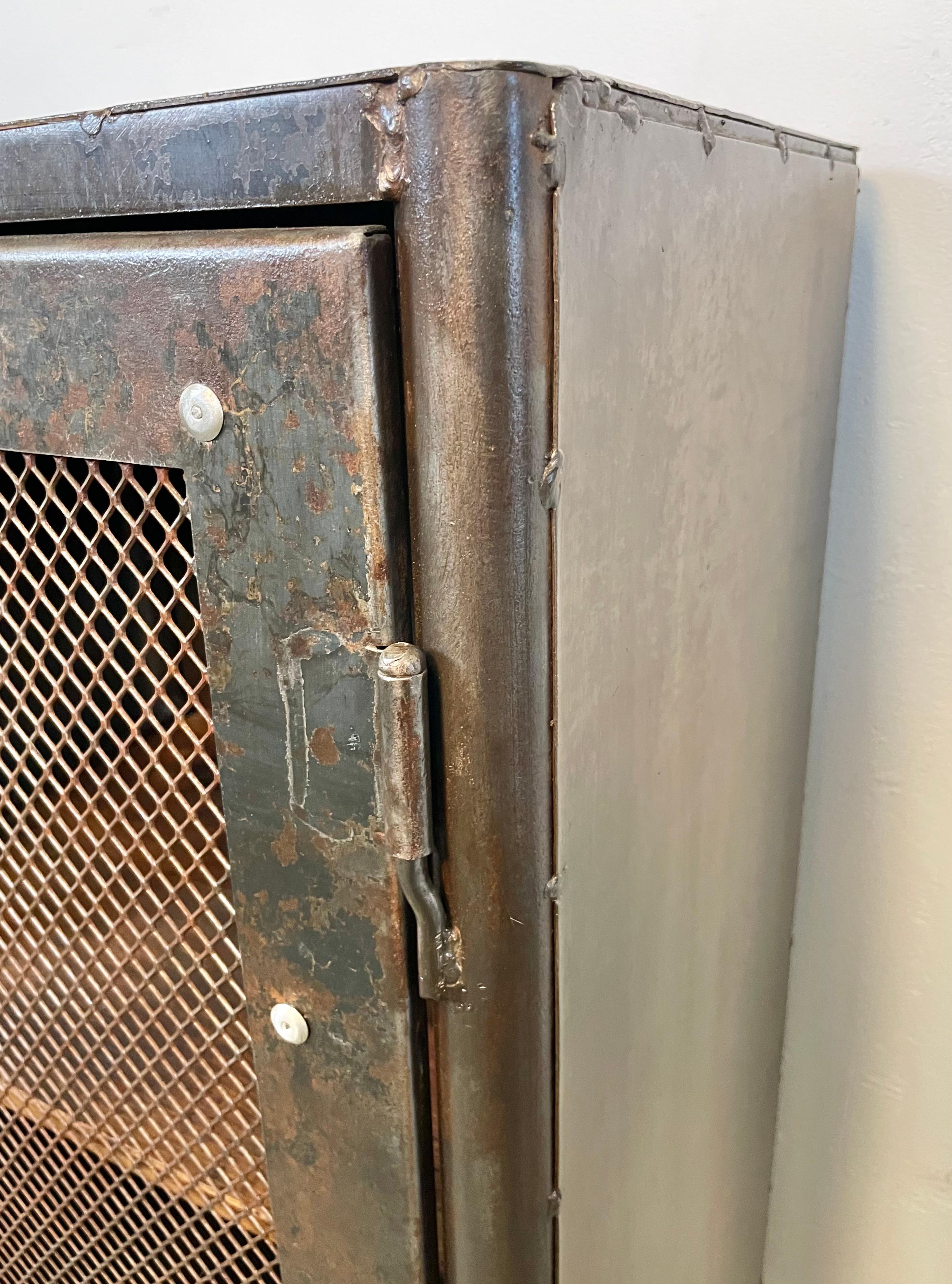 Industrial Iron Cabinet with Mesh Door, 1960s 5