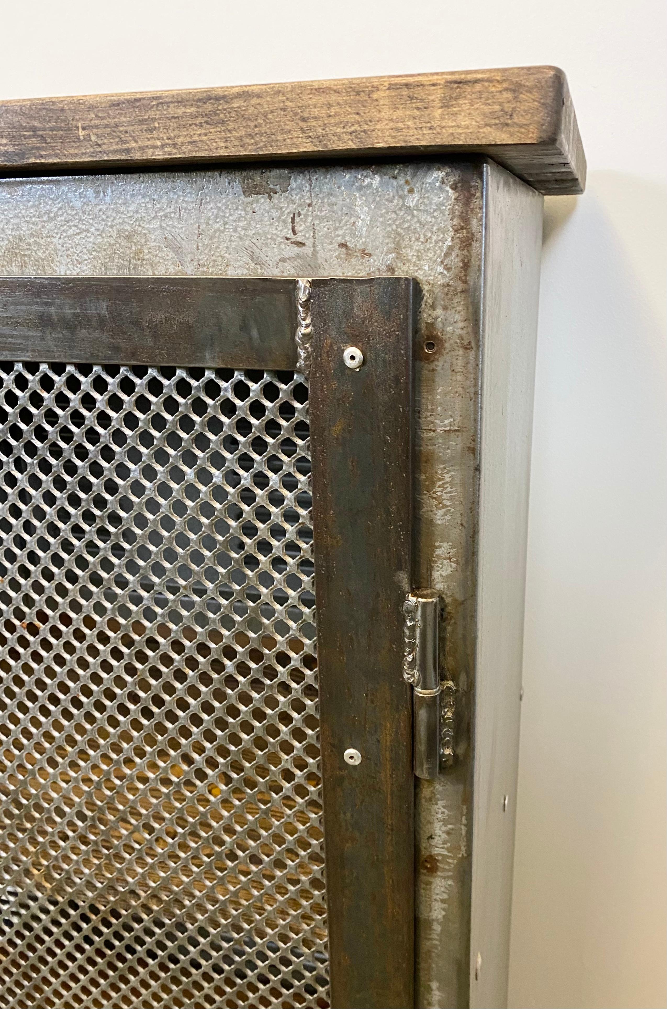 Industrial Iron Cabinet with Mesh Door, 1960s 10