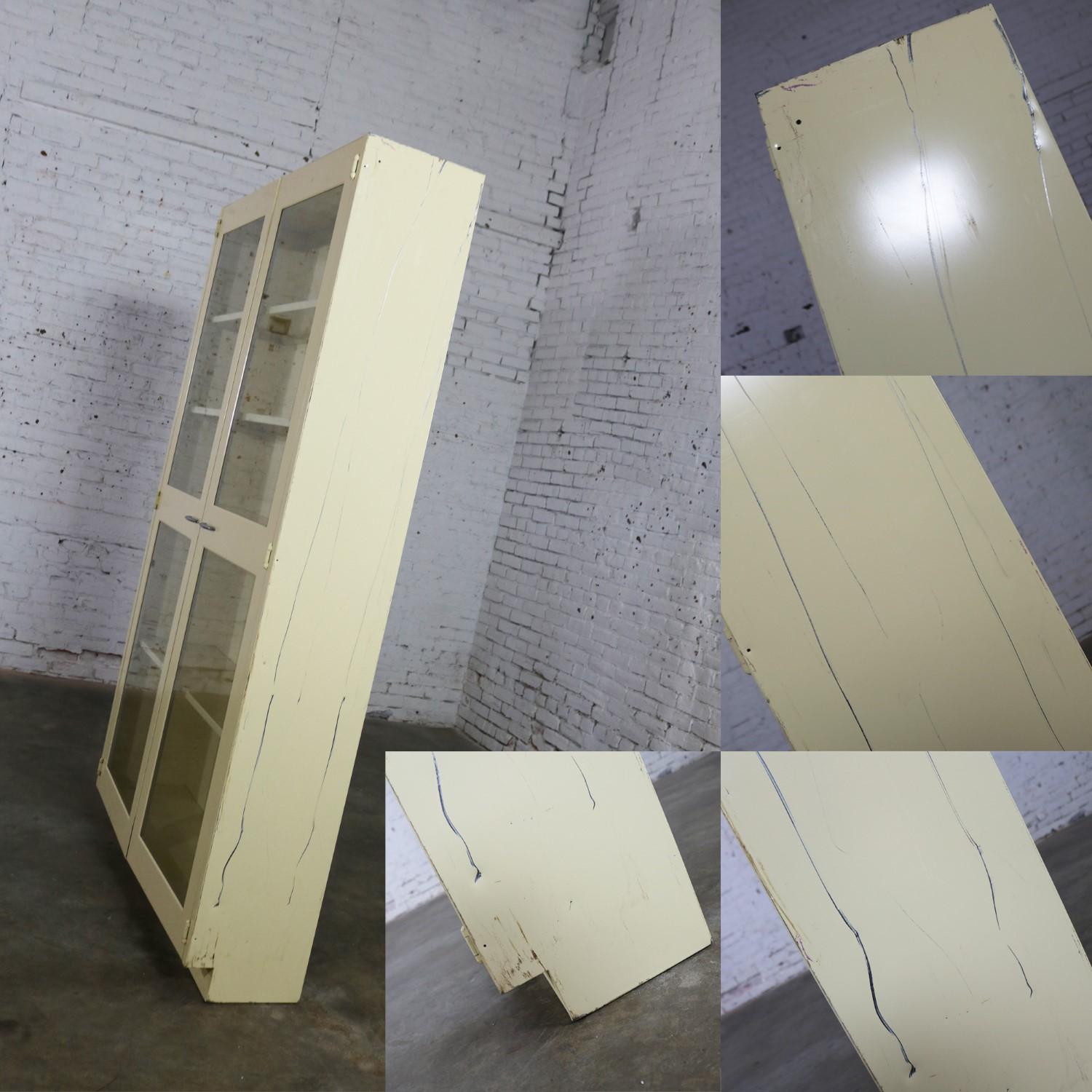 Industrial Metal Cabinet Glass Doors for Display or Bookcase 2