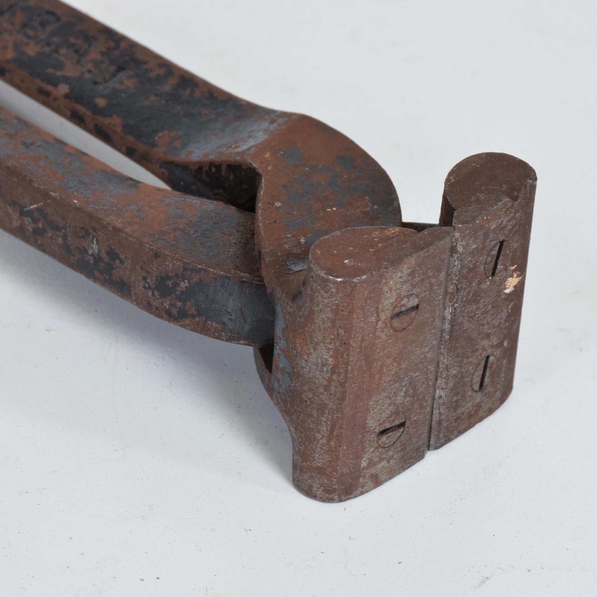 Industrielle Nagel Pliers Pincers Werkzeuge aus Stahl und Eisen, rustikale Patina, 1960er Jahre  im Angebot 1