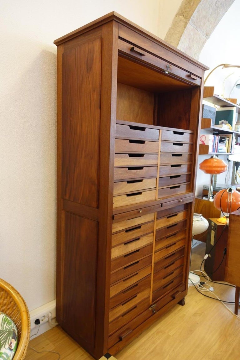 Industrial Portuguese Walnut Roller Blind Door Filing ...