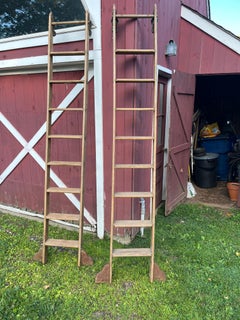 Industrial Rolling Ladder