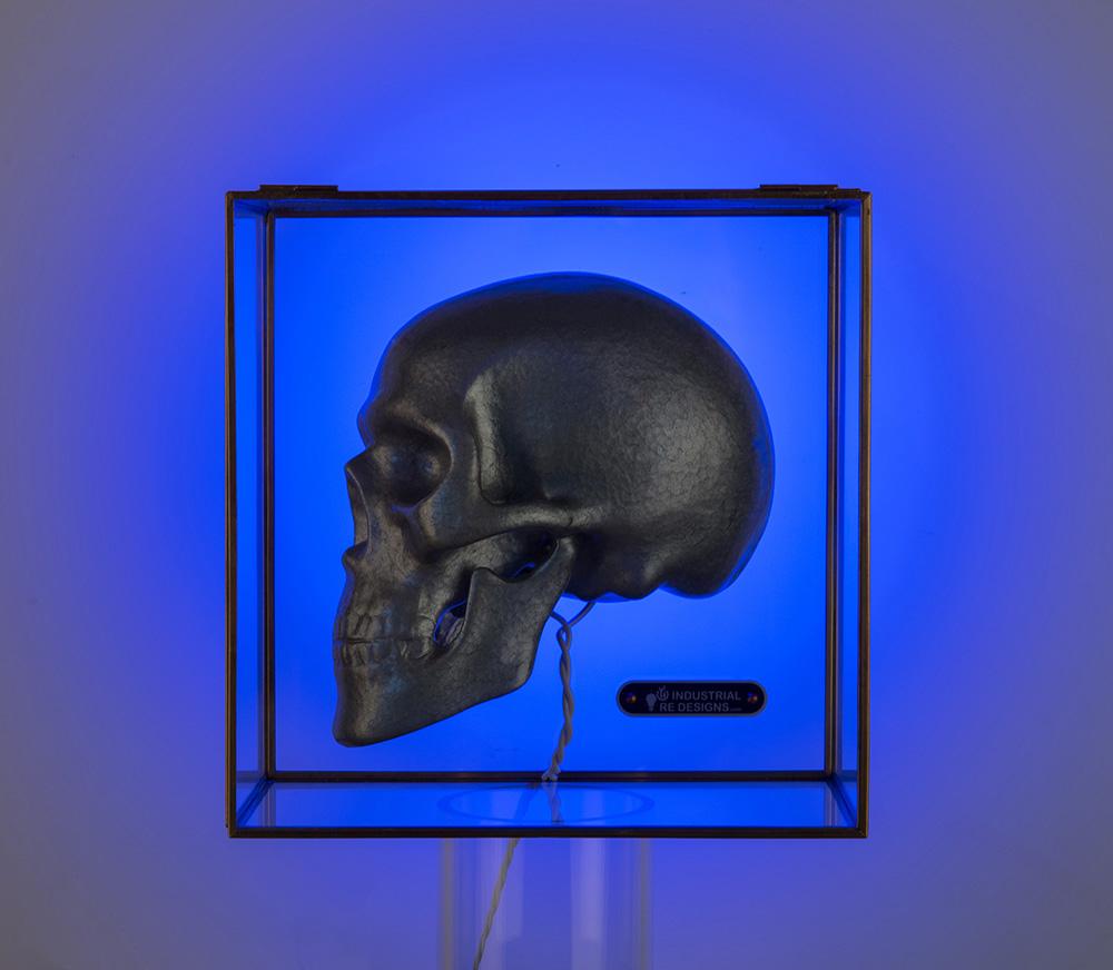 Backlighted 3D ceramic skull with industrial hammer-paint in copper/glass box. 
Thematic interesting for the electric wiring entering the skull as a spine.
Multi-colored backlight gives a nice ambience on a light nearby (light) background.
Three