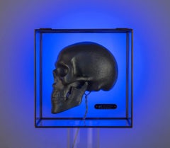 Industrial Skull in Glass Box