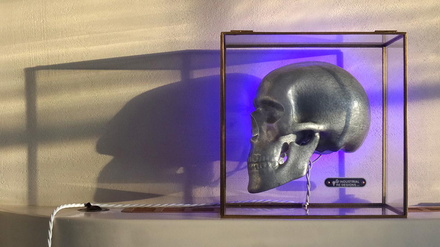 Contemporary Industrial Skull in Glass Box For Sale
