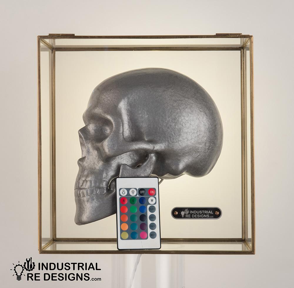 Ceramic Industrial Skull in Glass Box For Sale