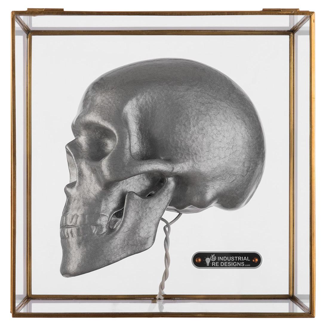 Industrial Skull in Glass Box For Sale