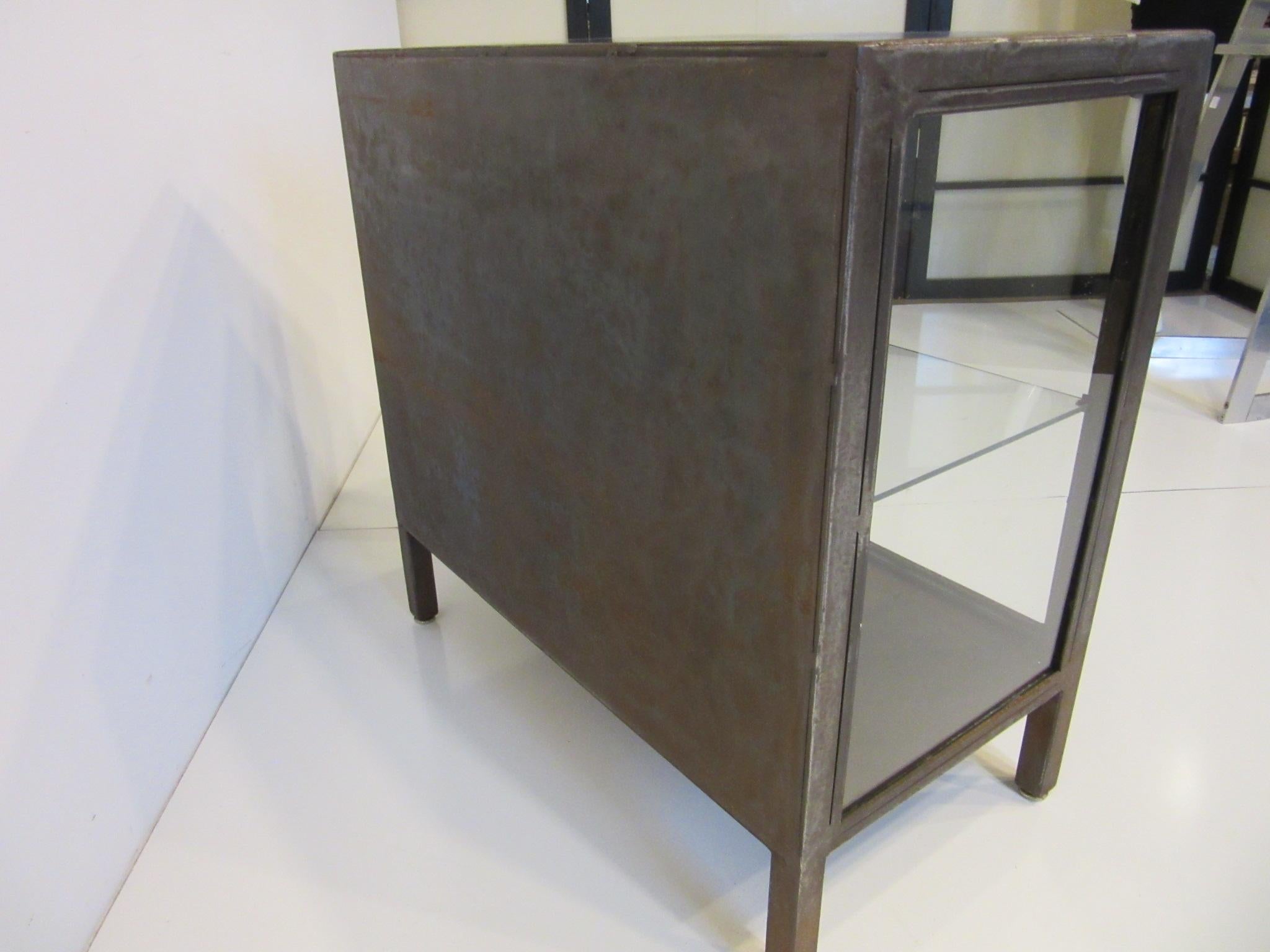 Industrial Steel and Glass Cabinet / Bookcase 2