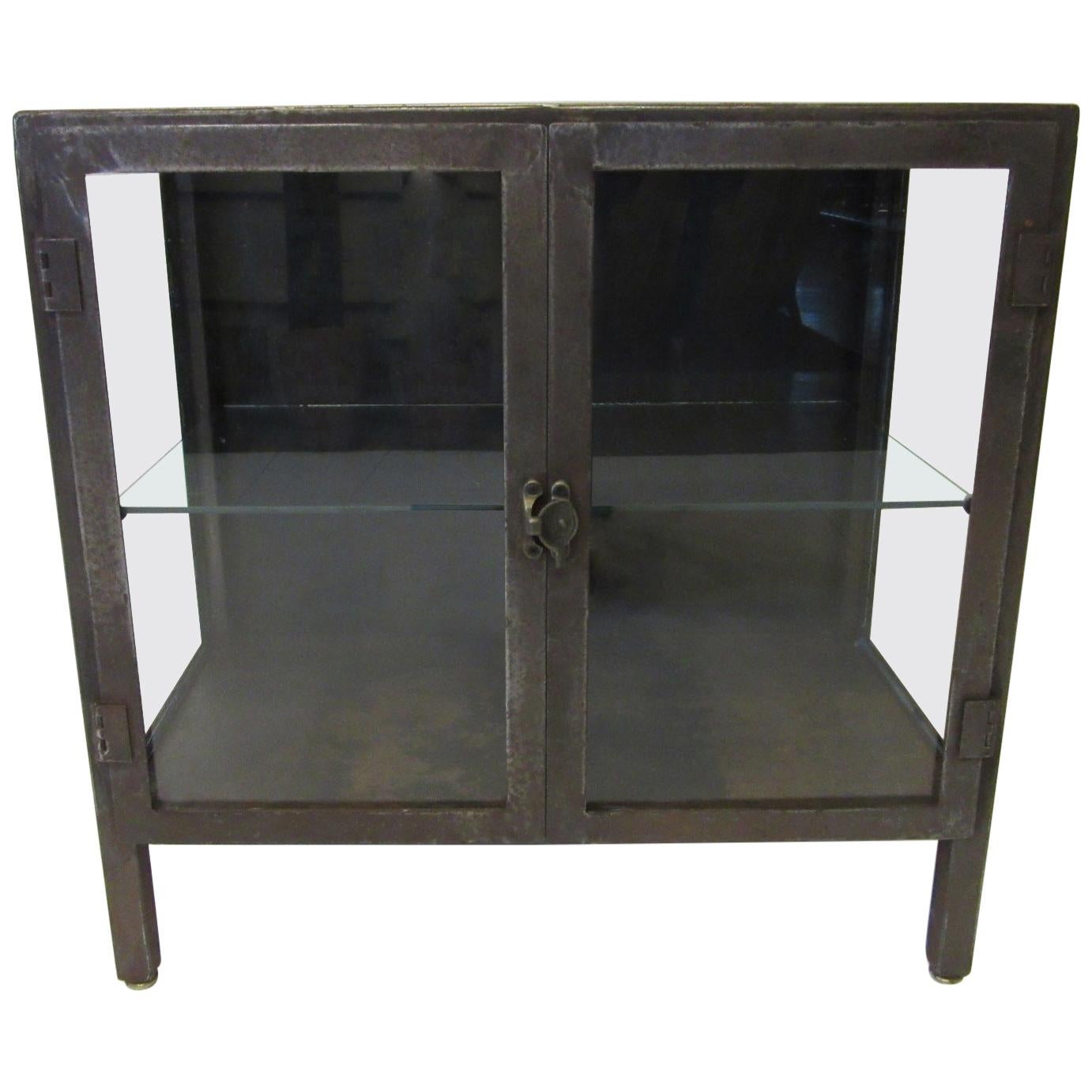 Industrial Steel and Glass Cabinet / Bookcase