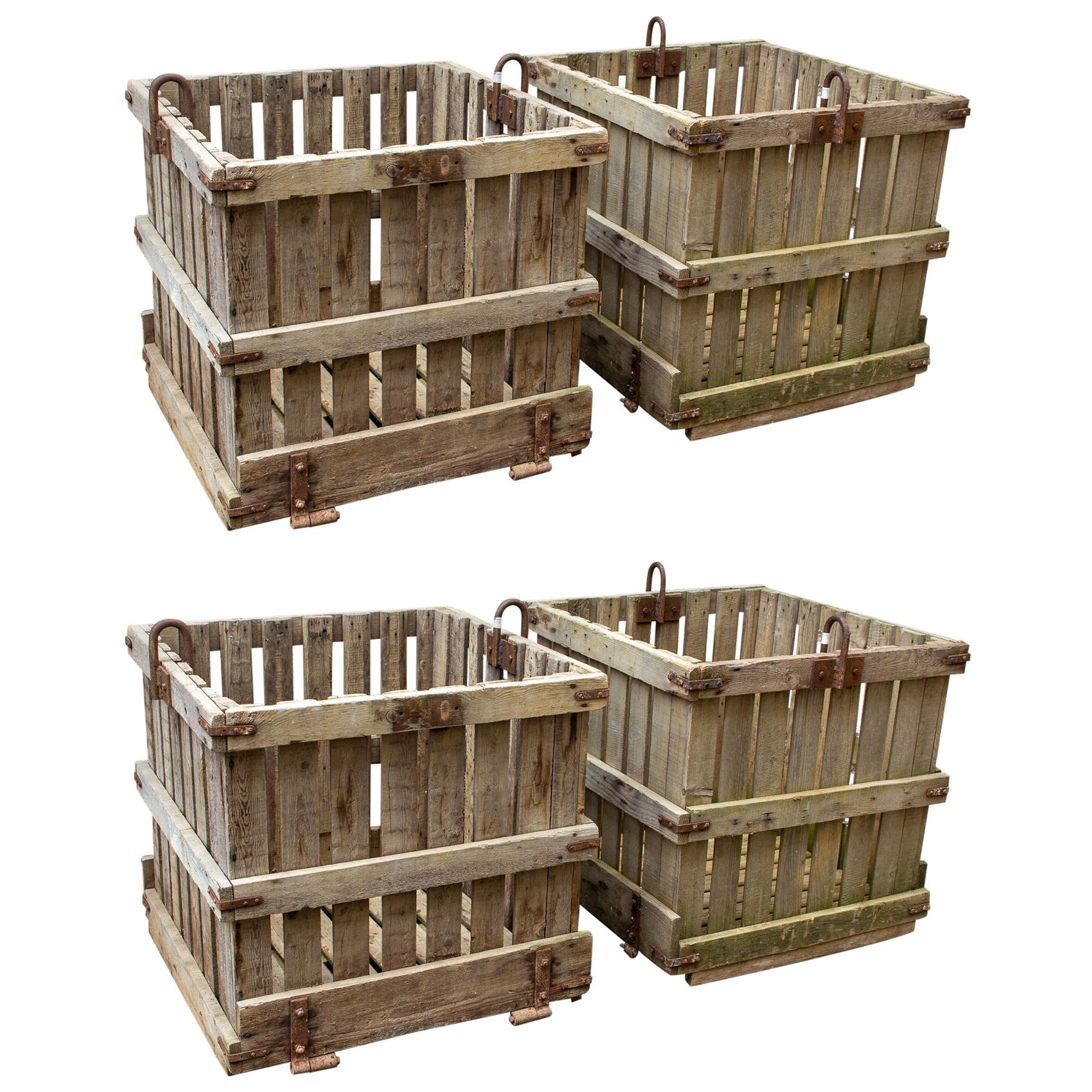 Vintage French Wood & Iron Industrial Crate Planter, Four Available