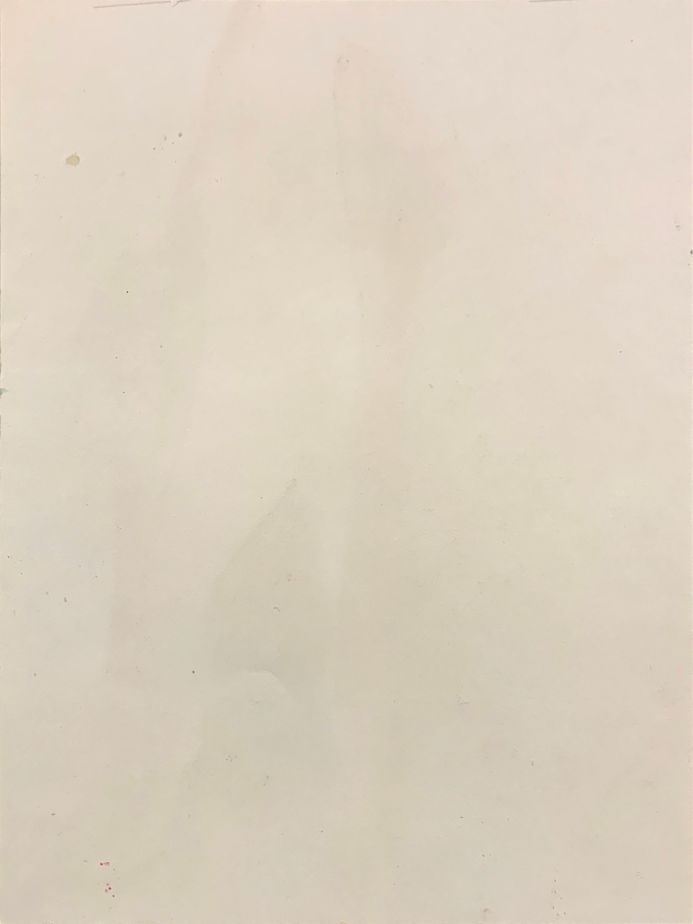 'The Green Shoes', SF Women's College, SF Art Institute, California, Romanoff For Sale 2