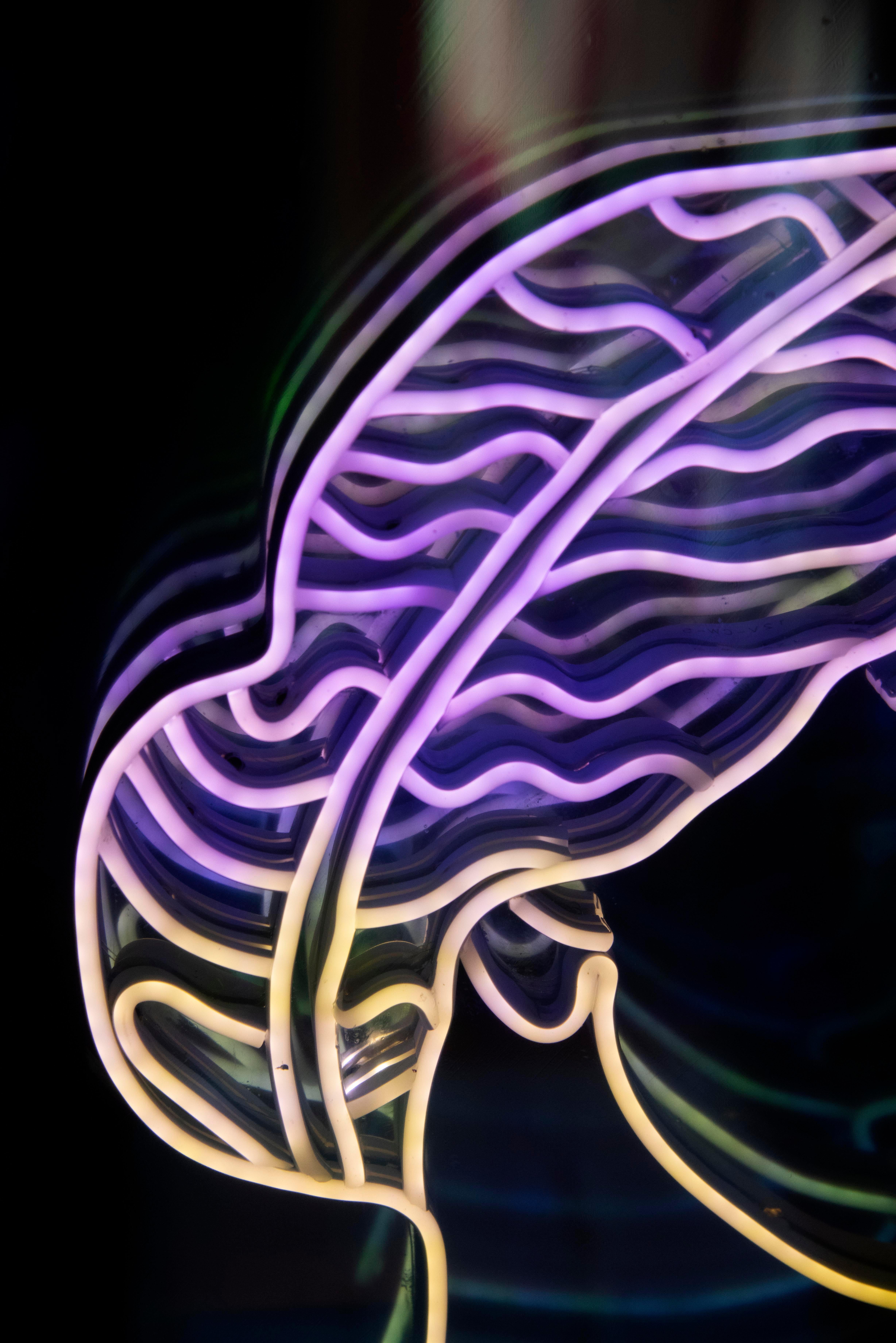 Aphrodite infinie, 2023  Paloma Castello 
De la série Neon Classics
Néon Flex sur acrylique / plexiglas miroir irisé coloré
Dimensions : 19.6 H in x 17.7 W x 2.7 D in. 
Edition 1/2

Dans son travail, elle aime donner vie à des objets ou à des icônes