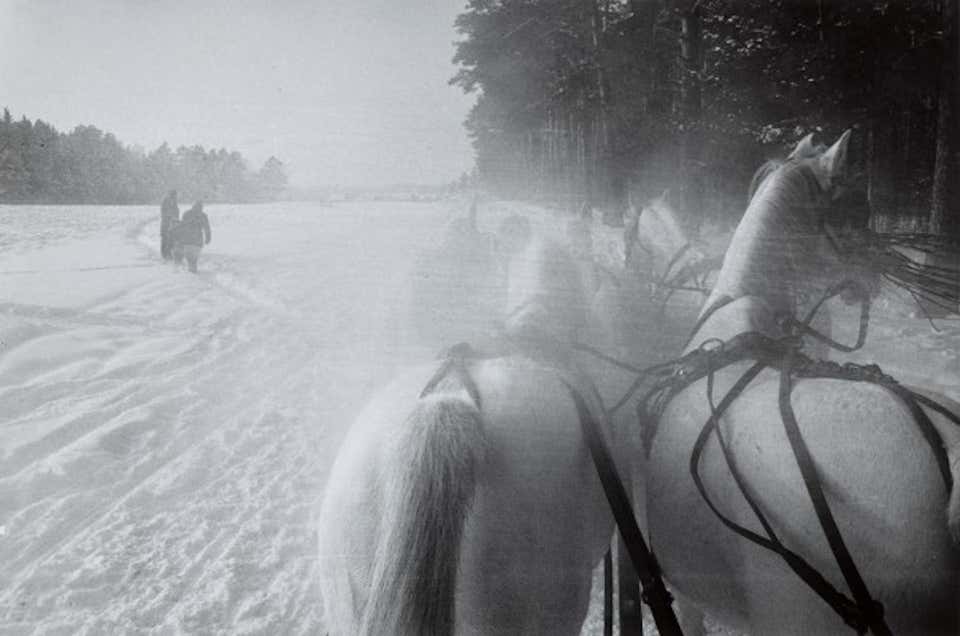 Sleigh Horses, Moscow