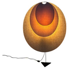 Lampade da terra