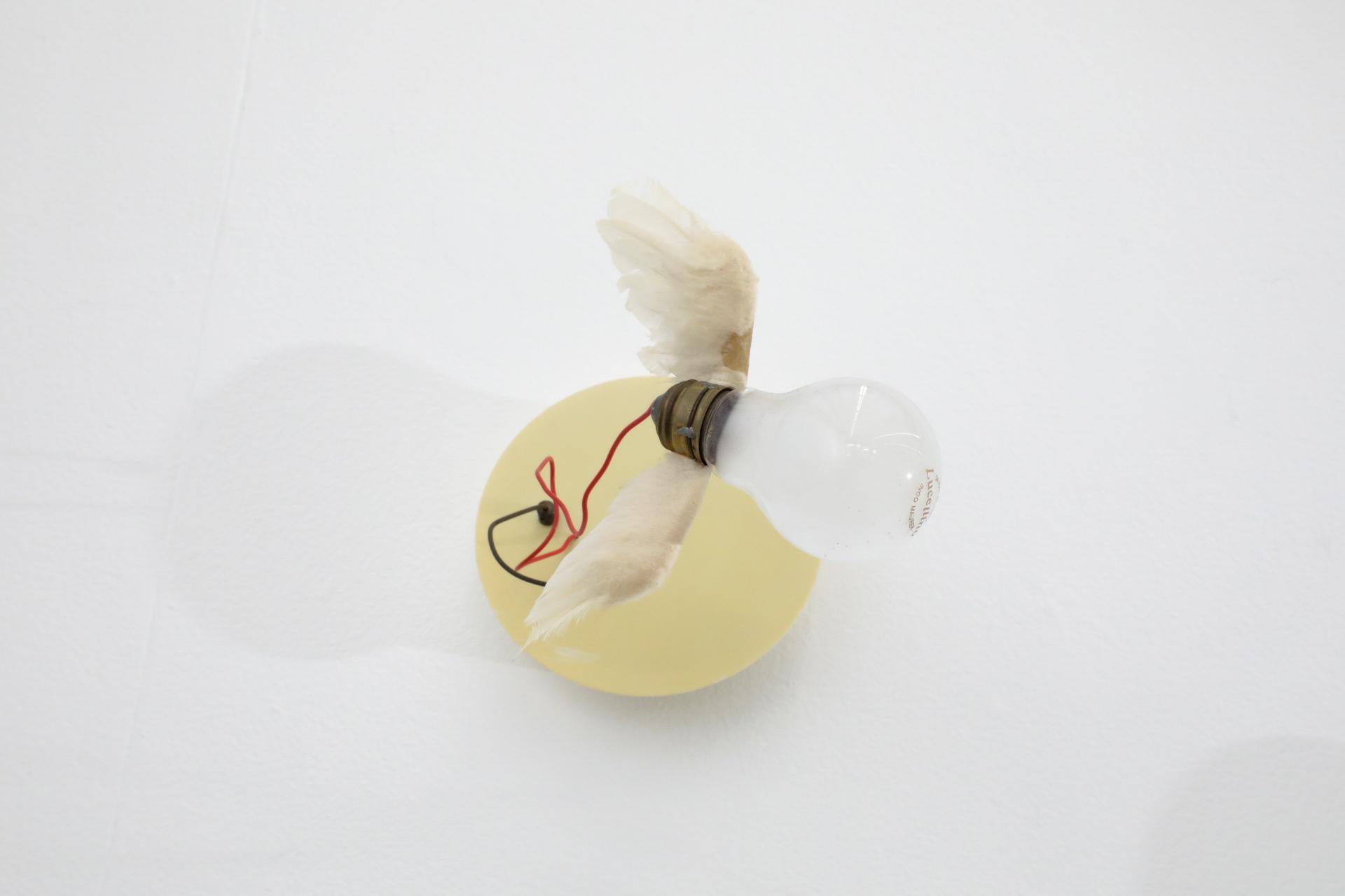 Apliques Ingo Maurer Lucellino Pájaro en venta 9