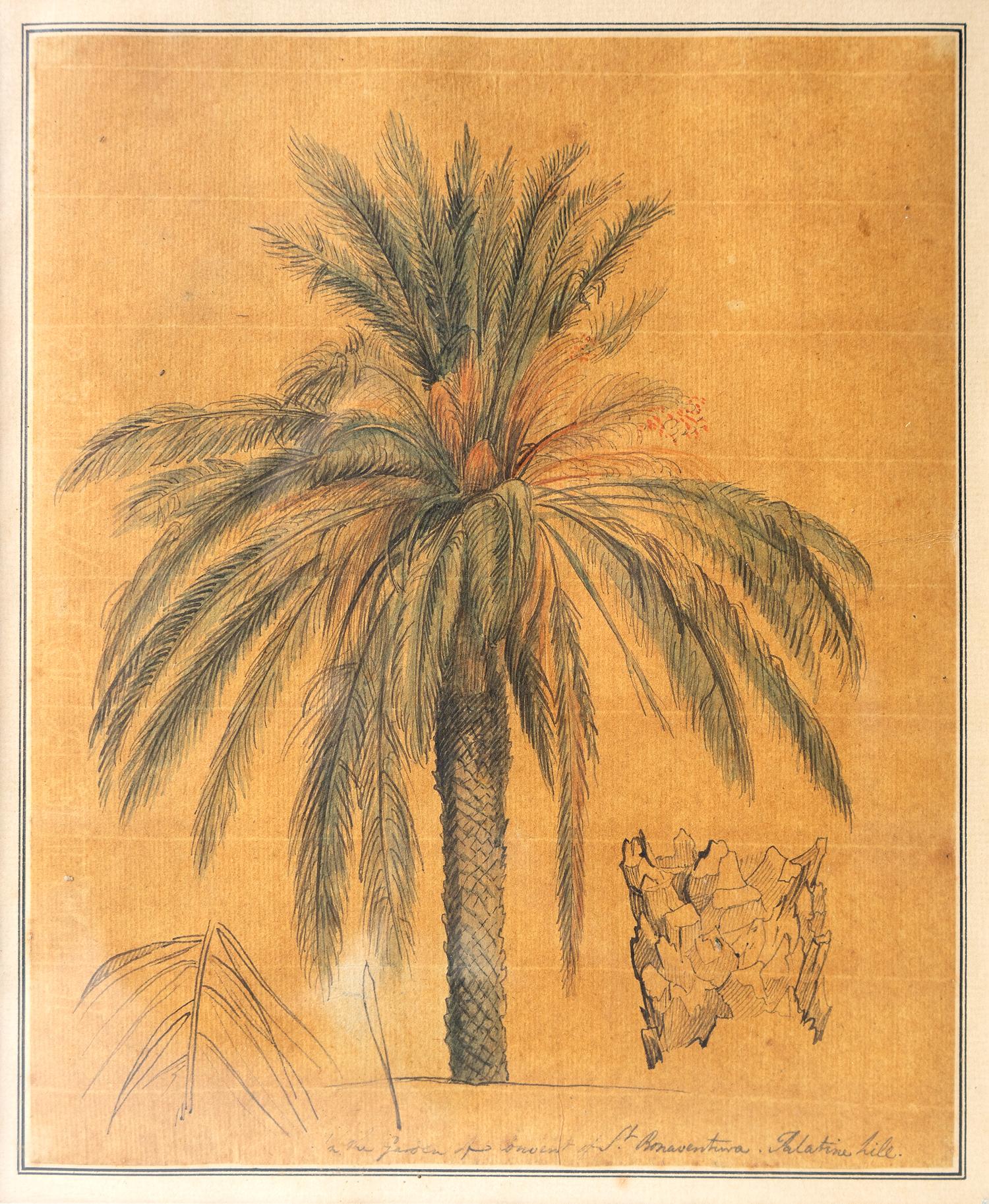 Painted Ink and Watercolour Study of a Palm Tree by John Flaxman RA, 18th Century For Sale