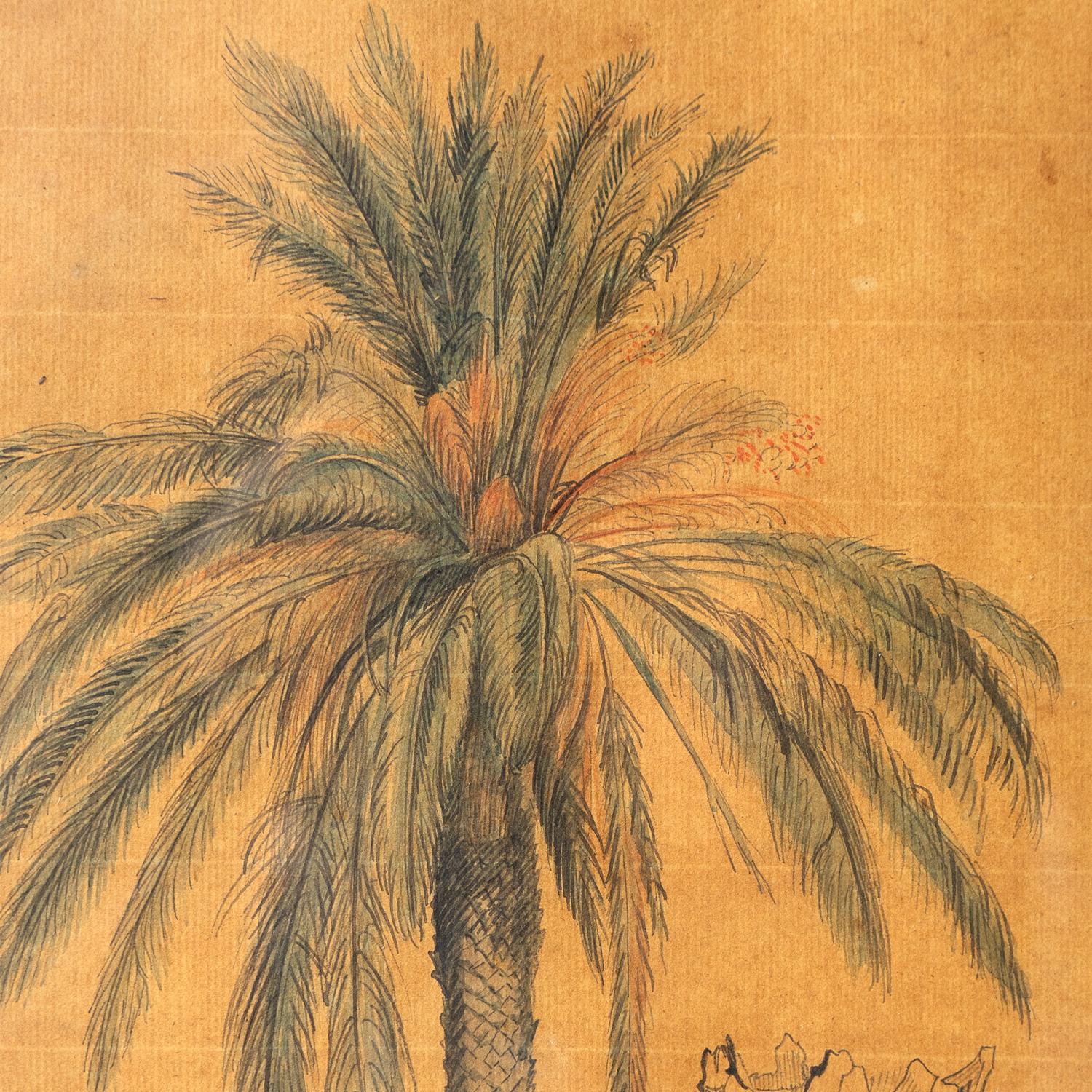 Ink and Watercolour Study of a Palm Tree by John Flaxman RA, 18th Century In Good Condition For Sale In Bristol, GB