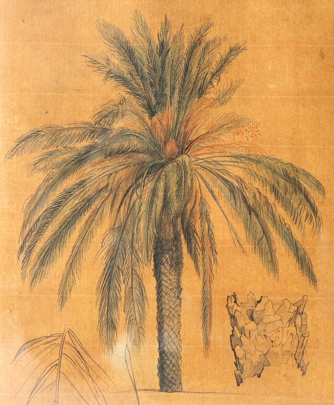 Early 19th Century Ink and Watercolour Study of a Palm Tree by John Flaxman RA, 18th Century For Sale