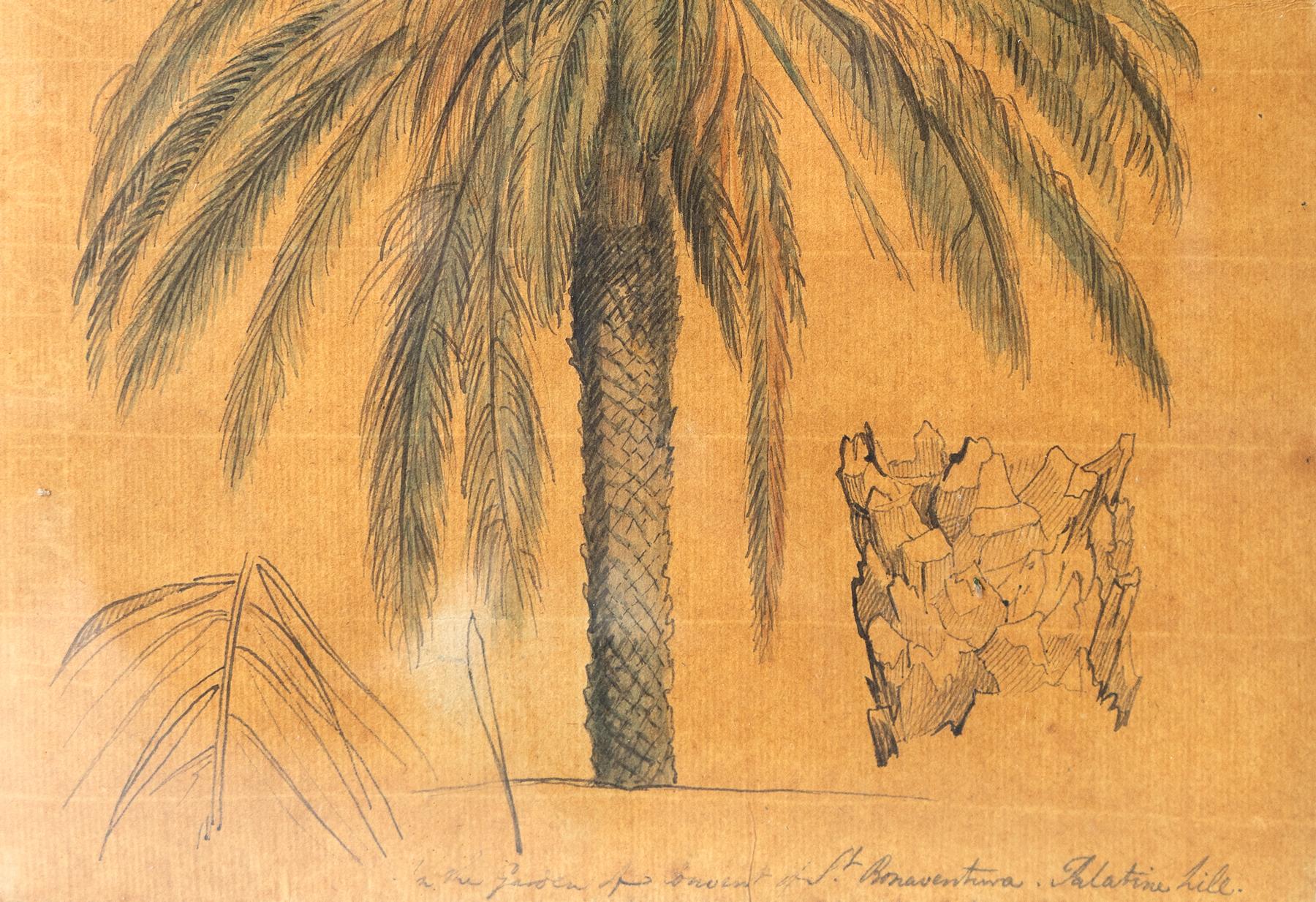 Paper Ink and Watercolour Study of a Palm Tree by John Flaxman RA, 18th Century For Sale