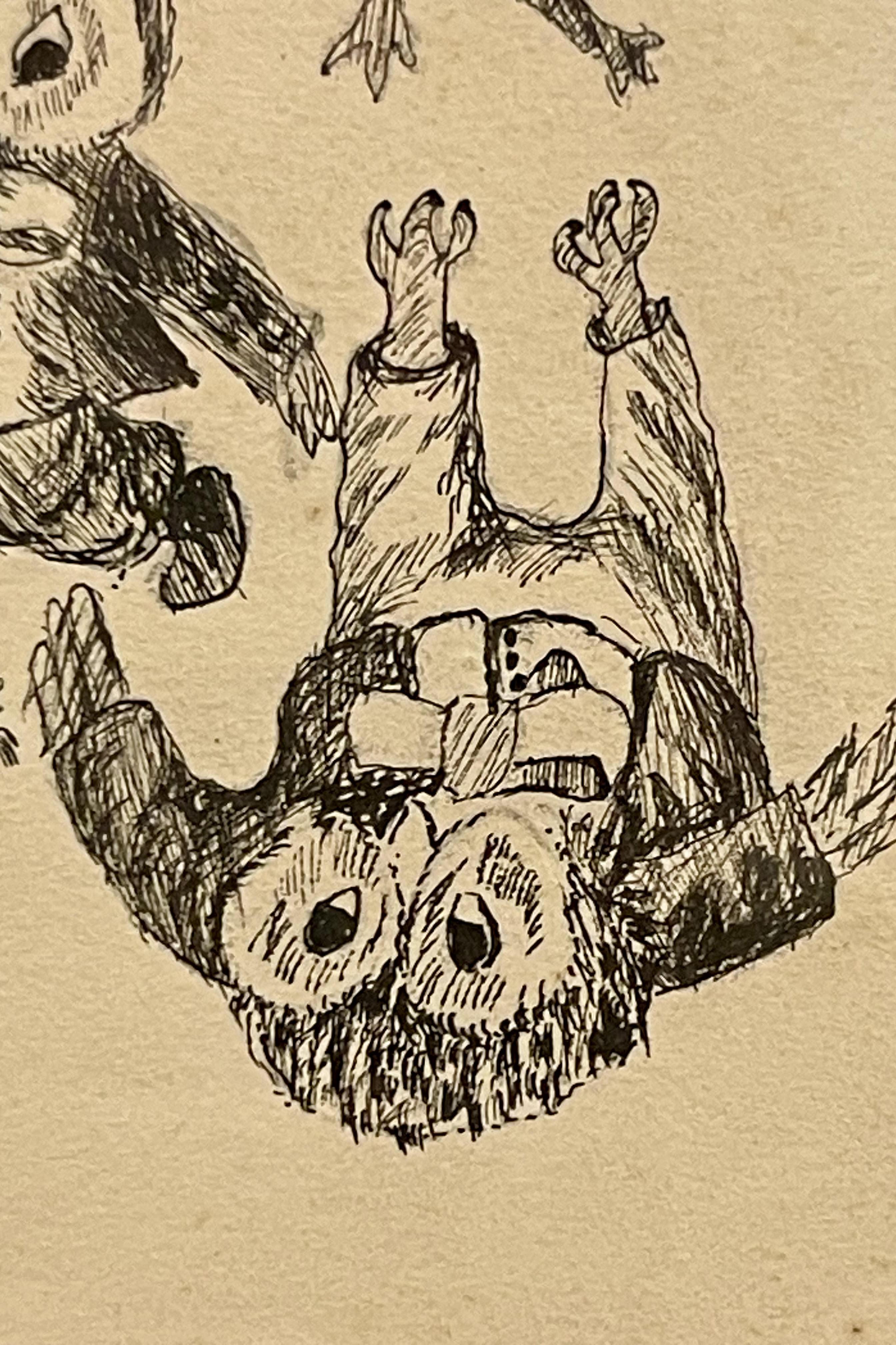 dessin à l'encre sur papier représentant des hiboux, un cadre en bois de cerisier et d'ébène, Autriche 1920 en vente 3